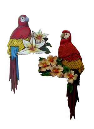 Parrot door hangers-set- of-2- #633AB
